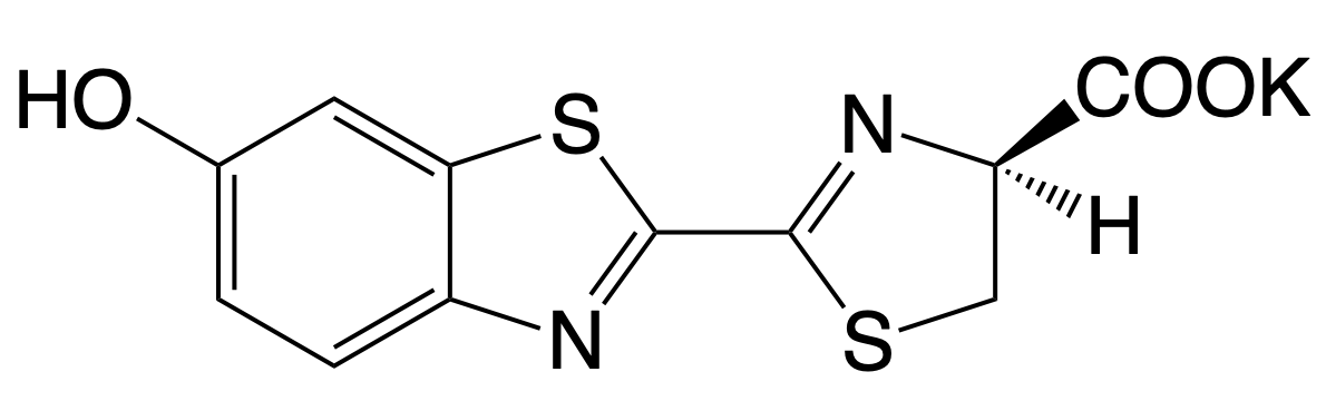 蟲(chóng)K.png